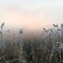 Во сне и наяву