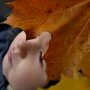 Во сне и наяву