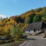 Во сне и наяву