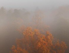 Morning's vision
