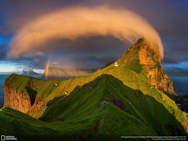 Лучший фотограф-натуралист 2017 года по версии National Geographic - PhotoDzen.com