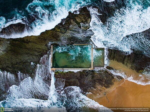 Лучший фотограф-натуралист 2017 года по версии National Geographic - PhotoDzen.com