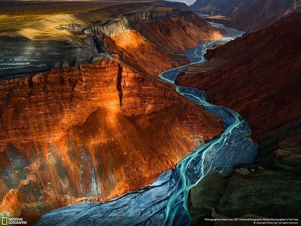 Лучший фотограф-натуралист 2017 года по версии National Geographic - PhotoDzen.com