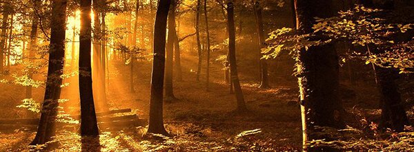 Осень в объективе (Часть 2) - PhotoDzen.com
